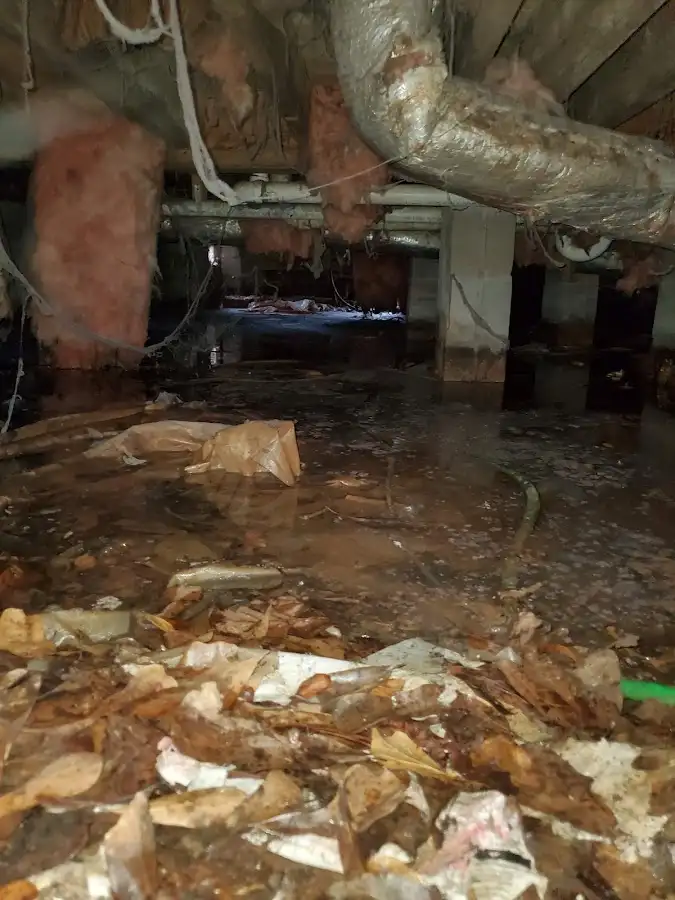 Crawl space flood assessment for Leak Detection & Repair in Greensburg