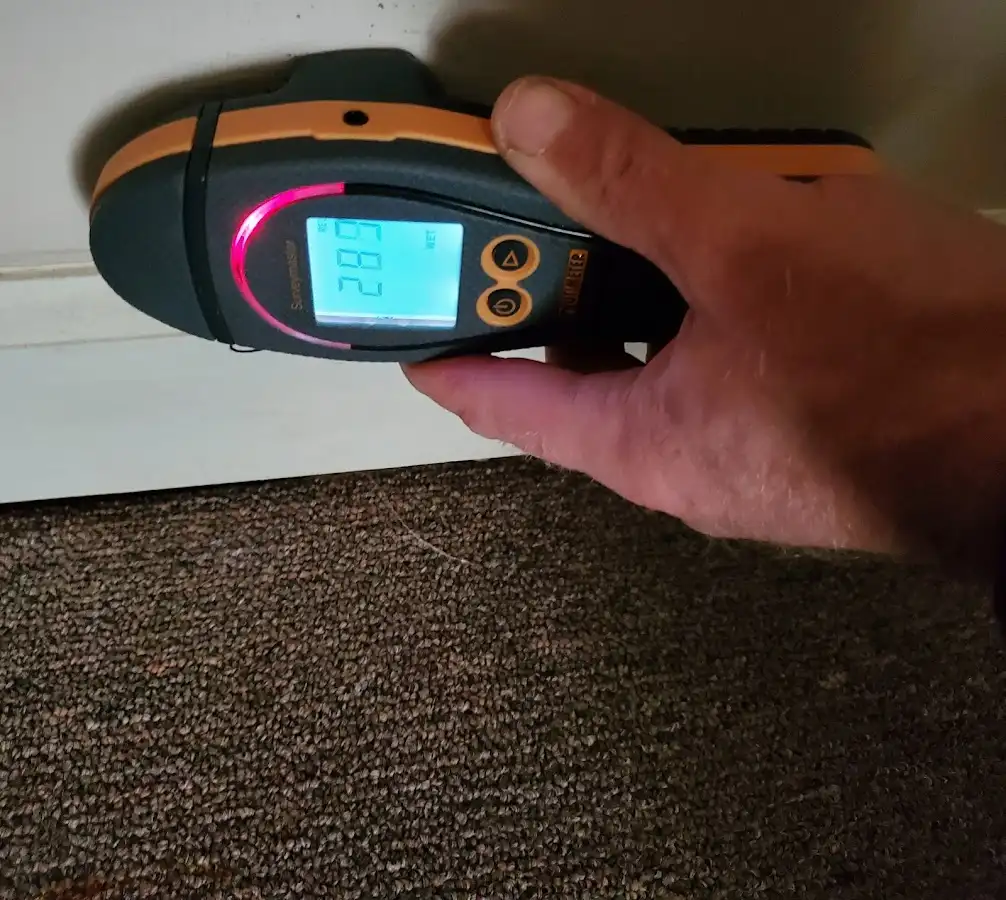 Moisture detection at baseboard during Sewage Cleanup & Sanitation in Greensburg